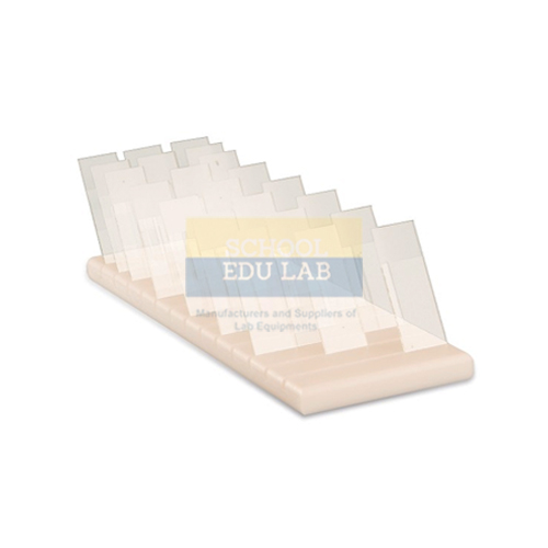 Slide Holder