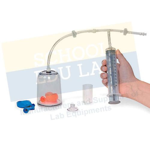 Bell Experiment Apparatus