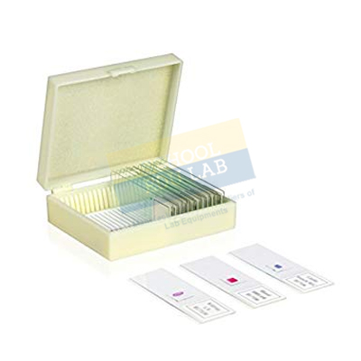 Basic Botany Slide Set