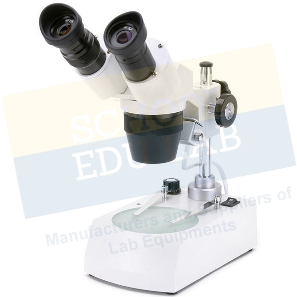 Dissecting Microscope