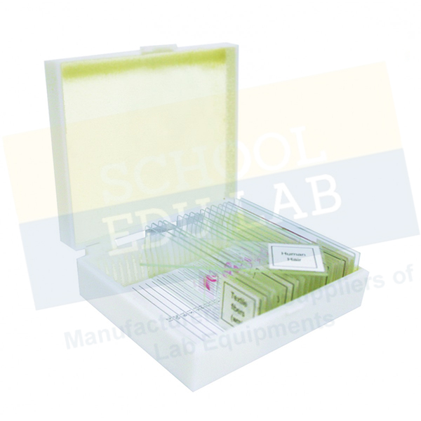 Animal Prepared Slide