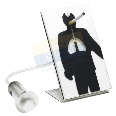 Effects of Smoking Model