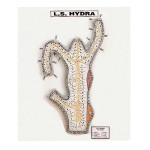 Hydra Model