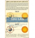 Spring and Neap Tides Chart