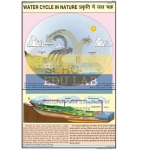Water Cycle In Nature Chart